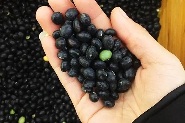 女人补肾吃哪些食物好 黑色食物养颜补肾最有效