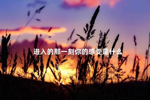 被进入的那一瞬间是什么感觉 本文盘点性爱被进入那一刻的感受